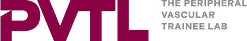 PVTL Logo